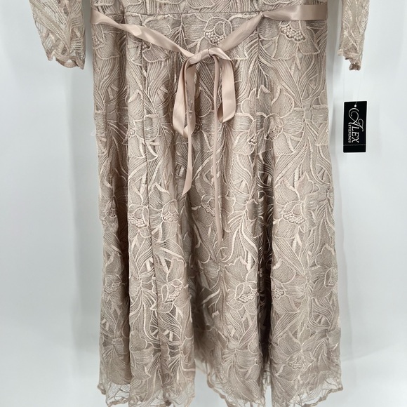 Alex Evenings - 8217835 Illusion Jewel Embroidered new Dress - Picture 15 of 16